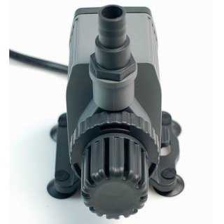 Bomba Rock WP2000 (2100 l/h)